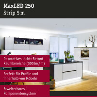 MaxLED 250 LED Strip Erweiterung 5m 6500K  19W 300lm/m 6500K