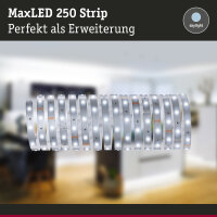 MaxLED 250 LED Strip Erweiterung 5m 6500K  19W 300lm/m 6500K
