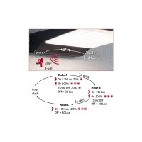 Solar LED Außenwandleuchte Ronas Bewegungsmelder  IP44 3000K 320lm Dunkelgrau