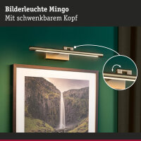 LED Bilderleuchte Mingo   3000K 510lm 230V 9,5W  Altmessing
