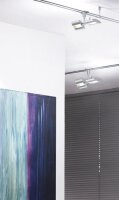 Paulmann Seil- und Schienenspot CombiSystems Linear 2x6W Chrom matt 230/12V Metall