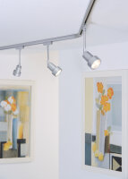 Paulmann URail Schienensystem Light&Easy Spot...