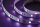 Paulmann Function BlackLight LED Stripe Set 1m 6W 230/12V DC Weiß Kunststoff