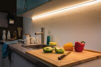 Paulmann Function MaxLED 500 Stripe 50cm Warmweiß...