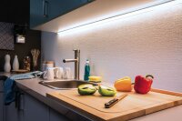Paulmann Function MaxLED 1000 Stripe 50cm...