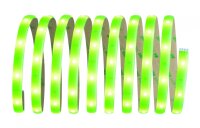 Paulmann Function YourLED Basisset DECO 3m Neon Green WW 7,2W 230/12V 18VA Weiß Kunststoff