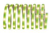 Paulmann Function YourLED Basisset DECO 3m Neon Green WW 7,2W 230/12V 18VA Weiß Kunststoff
