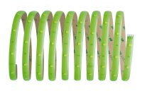 Paulmann Function YourLED Basisset DECO 3m Neon Green WW 7,2W 230/12V 18VA Weiß Kunststoff