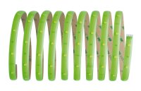 Paulmann Function YourLED Basisset DECO 3m Neon Green WW 7,2W 230/12V 18VA Weiß Kunststoff