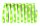 Paulmann Function YourLED Basisset DECO 3m Neon Green WW 7,2W 230/12V 18VA Weiß Kunststoff