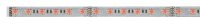 Paulmann Function MaxLED RGB Stripe 1m 13,5W 24V Silber