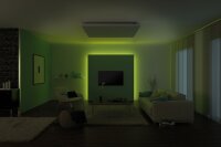 Paulmann Function MaxLED RGB Stripe 1m 13,5W 24V Silber...