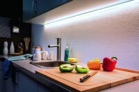 Paulmann Function MaxLED 1000 Stripe 50cm Tageslichtweiß 6W 24V Silber Kunststoff
