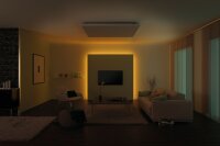 Paulmann Function MaxLED RGB Basisset 1,5m 20W 230/24V 36VA Silber Kunststoff