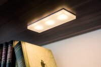 Paulmann Möbel Einbauleuchten Set Fleecy LED eckig 3x3,6W 2700K 9VA 230/12V 150x50mm satiniert/Acryl