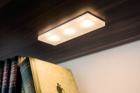 Paulmann Möbel Einbauleuchten Set Fleecy LED eckig 3x3,6W 2700K 9VA 230/12V 150x50mm satiniert/Acryl