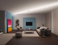 Paulmann Function Flying Stripe Set RGB 6m 26,5W 230/12V 48VA Weiß/Alu Kunststoff