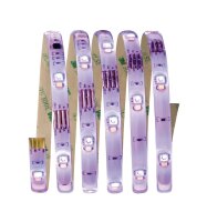 Paulmann Function Digital LED Strip Set 1,5m RGB+W 5,5W 230/12V 24VA Weiß Kunststoff