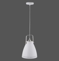 EVA Leuchten Direkt Pendelleuchte, weiss 1xE27 60W Innenleuchte, IP20