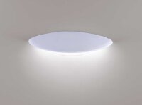 WILLY Paul Neuhaus Wandleuchte, weiss 1xLED-Board 6W 3000K Aussenleuchte, IP44