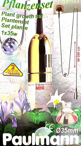 Paulmann Pflanzenset 50338 230V/12V 35W Pendel mit Abhängung Gold/Messing Alu