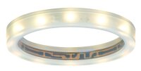 Paulmann Star LED-Sternenhimmelring 2700K für...
