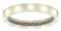 Paulmann Star LED-Sternenhimmelring 2700K für...